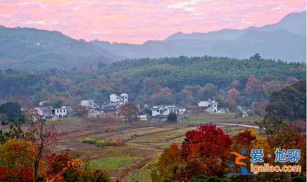 桃花源里，有個(gè)塔川（攝影圣地）？