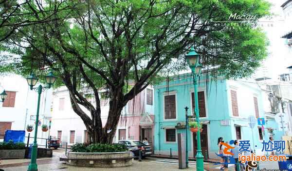 澳門旅游哪里好？這些地方一定要去！？