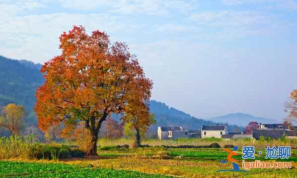 桃花源里，有個(gè)塔川（攝影圣地）？