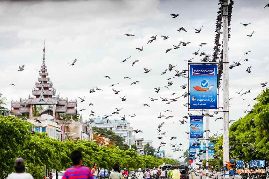 緬甸，你怎么這么美？！？