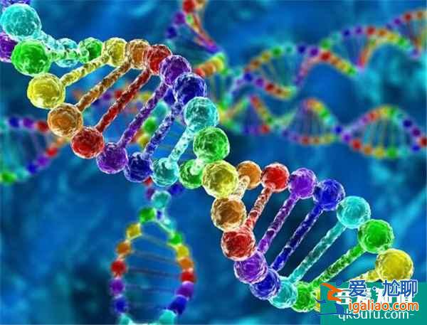 多方位解讀:試管嬰兒成功率高于其他國家的原因? 多方位解讀:試管嬰兒成功率高于其他國家的原因?