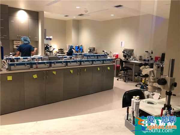 多方位解讀:試管嬰兒成功率高于其他國家的原因? 多方位解讀:試管嬰兒成功率高于其他國家的原因?