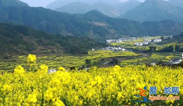 【婺源3月天氣】婺源3月份天氣預報，婺源3月天氣怎么樣？
