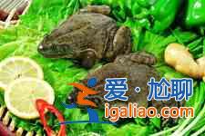 田雞粥的做法大全？