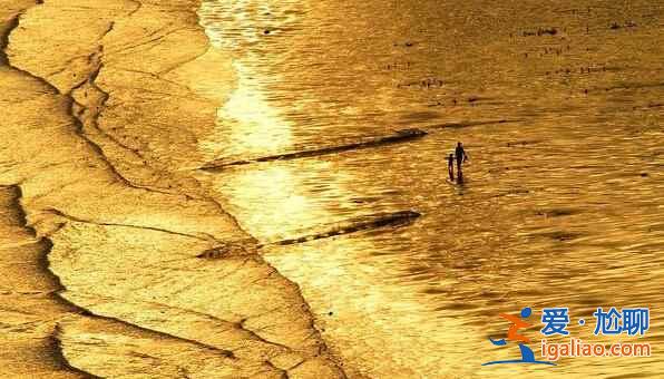 福建霞浦：碧海溢彩、灘涂鋪金，美得不可思議！？