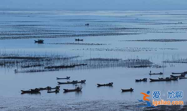 福建霞浦：碧海溢彩、灘涂鋪金，美得不可思議！？