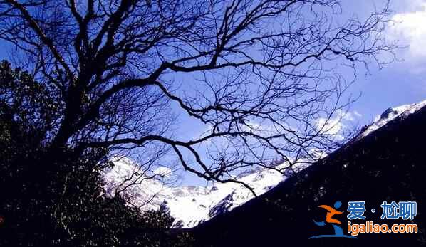 卡片機拍下的九寨黃龍,同樣美的驚人!? 卡片機拍下的九寨黃龍,同樣美的驚人!?