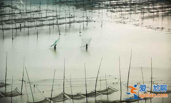 福建霞浦：碧海溢彩、灘涂鋪金，美得不可思議！？