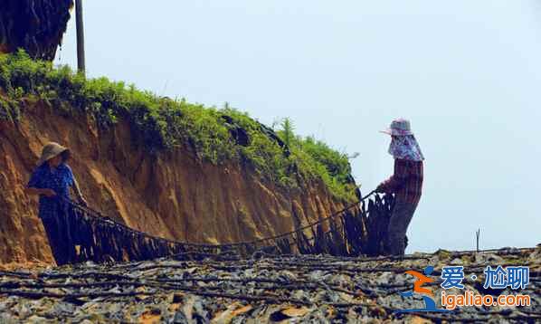 福建霞浦：碧海溢彩、灘涂鋪金，美得不可思議！？