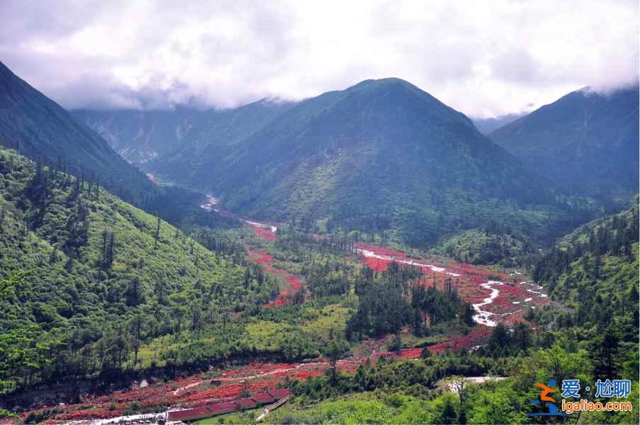 世界第一紅石灘：絕美海螺溝？