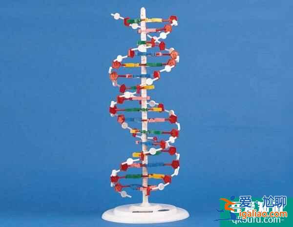 母親節·感恩禮 HRC為您分享赴美試管助孕攻略？