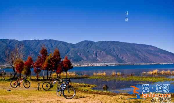 蒼山洱海旁，有個(gè)美麗的大理？