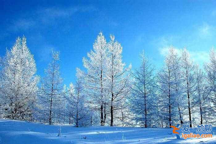 中國最美十大雪鄉之一，這個冬季去賀蘭山看雪吧？
