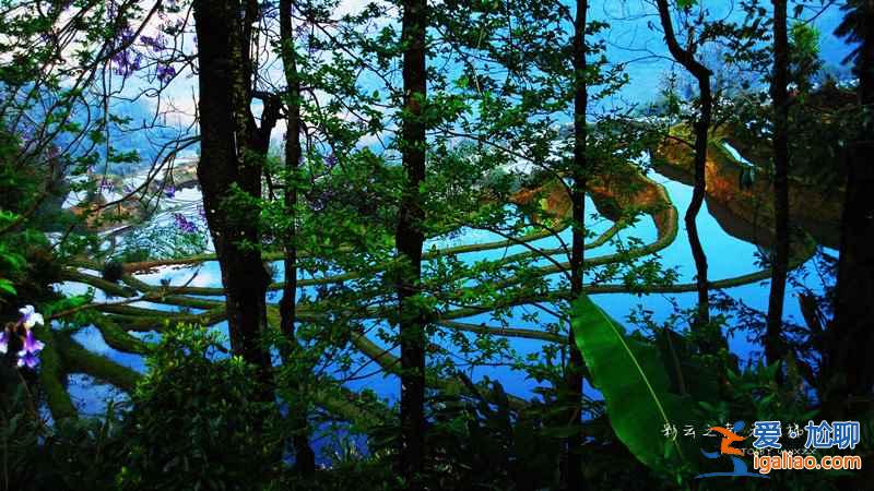 元陽梯田：借上帝之手勾勒的美麗線條【美圖】？