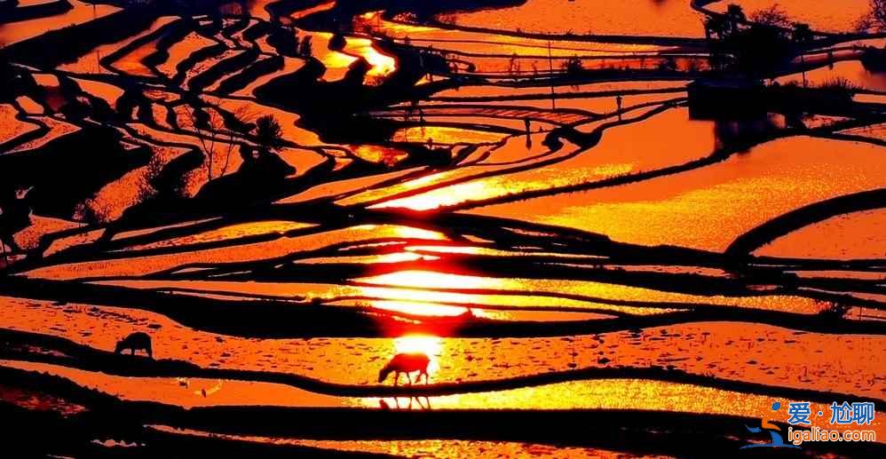 元陽梯田：借上帝之手勾勒的美麗線條【美圖】？