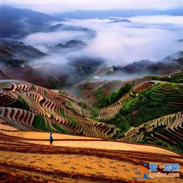元陽梯田：借上帝之手勾勒的美麗線條【美圖】？