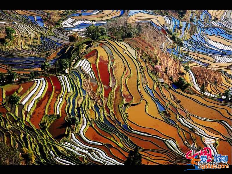 元陽梯田：借上帝之手勾勒的美麗線條【美圖】？