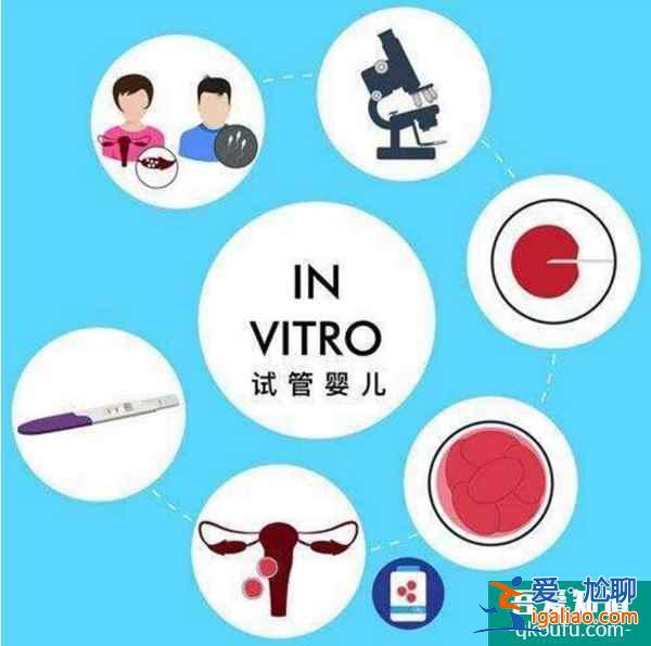 試管嬰兒定制雙胞胎,要多帶帶收費嗎?? 試管嬰兒定制雙胞胎,要多帶帶收費嗎??