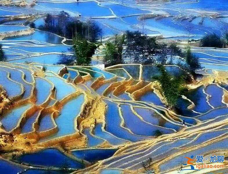 元陽梯田：借上帝之手勾勒的美麗線條【美圖】？