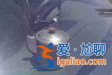 鹽焗雞蛋？