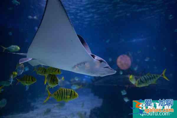 天津適合情侶一日游的地方推薦？