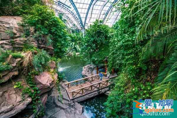 2021受疫情影響天津熱帶植物觀光園暫停開放通知？