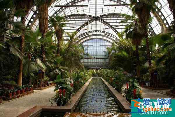 2021受疫情影響天津熱帶植物觀光園暫停開放通知？