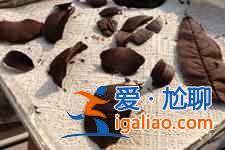 如何自制巧克力？