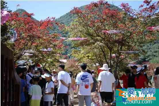 棕櫚股份生態(tài)城鎮(zhèn)項目“中秋佳節(jié)”迎出游小高峰，各景區(qū)經(jīng)營情況持續(xù)提升？