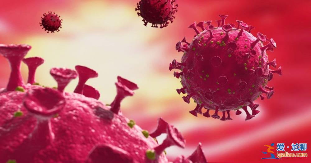 批判張文宏、反對金冬雁……首科大校長饒毅“以一抵多”引爭辯? 批判張文宏、反對金冬雁……首科大校長饒毅“以一抵多”引爭辯?