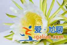 霸王花煲湯？