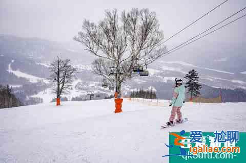 冬季富良野還能這么玩！滑雪玩雪雪橇狗，冰城冰釣熱氣球？