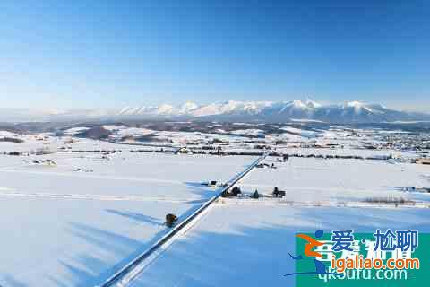 冬季富良野還能這么玩！滑雪玩雪雪橇狗，冰城冰釣熱氣球？