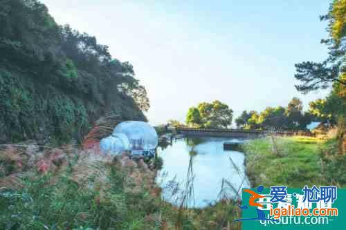 來重慶，住進三合星谷露營泡泡屋民宿？