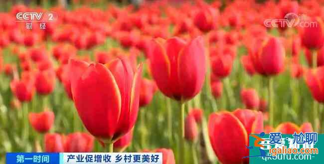 農(nóng)業(yè)農(nóng)村部:打造鄉(xiāng)村旅游精品工程 建設(shè)鄉(xiāng)村產(chǎn)業(yè)集聚區(qū)? 農(nóng)業(yè)農(nóng)村部:打造鄉(xiāng)村旅游精品工程 建設(shè)鄉(xiāng)村產(chǎn)業(yè)集聚區(qū)?