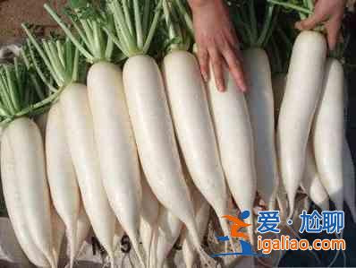 腌制白蘿卜的做法大全? 腌制白蘿卜的做法大全?