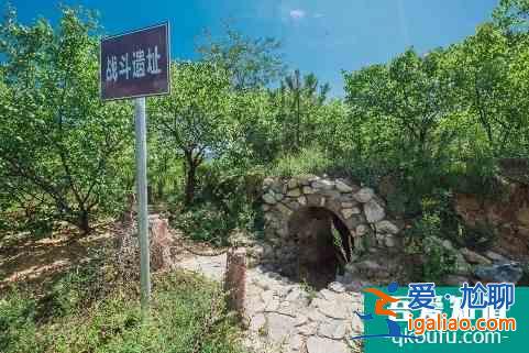 十一京郊游•延慶篇，逛百里畫廊、游花海...人少景美遛娃地？