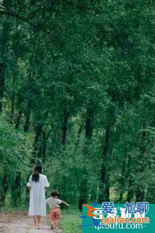 十一京郊游•延慶篇，逛百里畫廊、游花海...人少景美遛娃地？