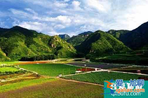 十一京郊去哪玩？密云、順義好去處，登長城、賞菊花、游霧靈山...？