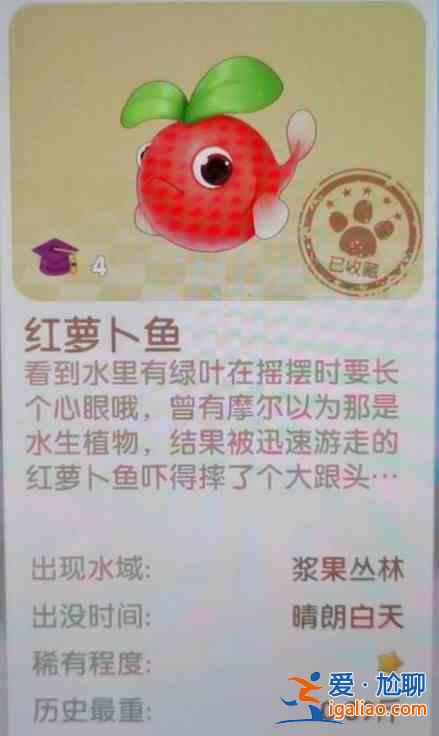 摩爾莊園夏日收集任務怎么完成？夏日收集全物品位置圖文一覽？