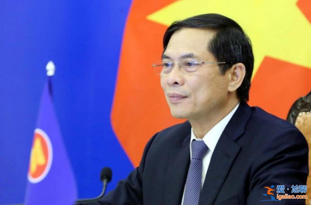 越南外長被處分 可能與日本有關？？
