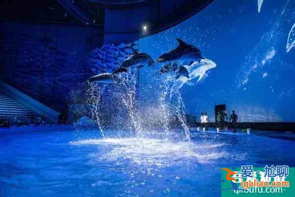 2022重慶融創(chuàng)海世界春節(jié)最新優(yōu)惠門票價格？