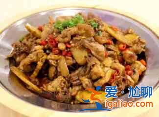 炒雞的做法大全？