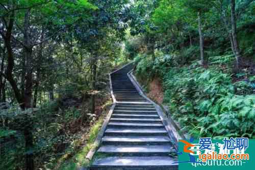 “精品一日游”線(xiàn)路 大美云和歡迎你！？