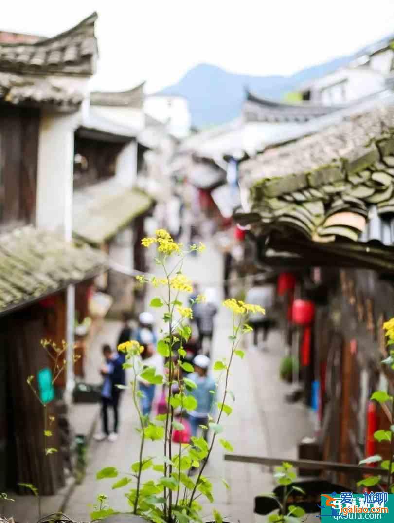 @最美逆行者，您有一份來自古堰畫鄉的“旅拍邀請函”待查收！？