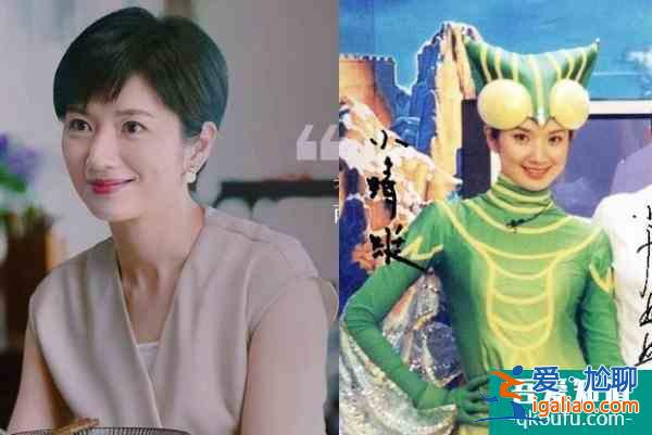 《以家人之名》為啥火？演員和角色吻合！網友：給選角導演加雞腿？