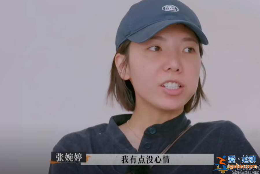 張婉婷和趙麗穎什么關(guān)系 宋寧峰老婆張婉婷個人資料曝光