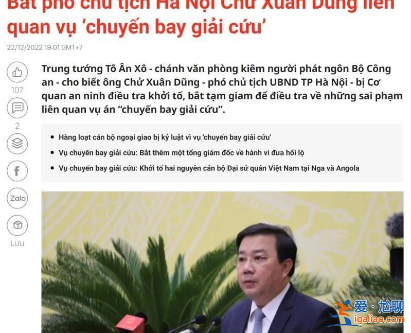 核酸腐敗窩案之后 越南疫情包機也出事了 越共外交部長受處分？