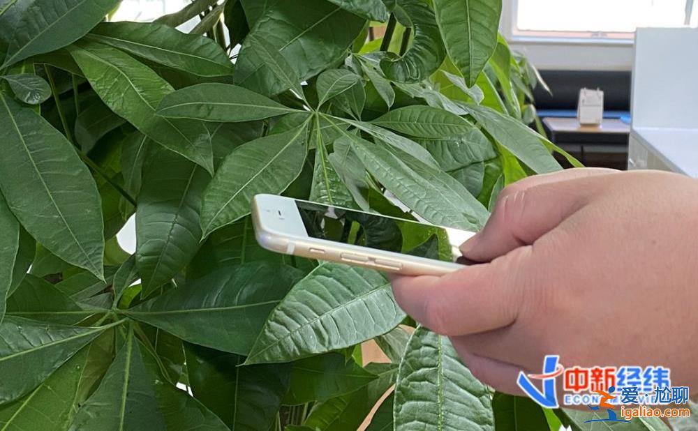 1月新規來了！事關“醫食住行” 這種情況最高獎勵20萬元？