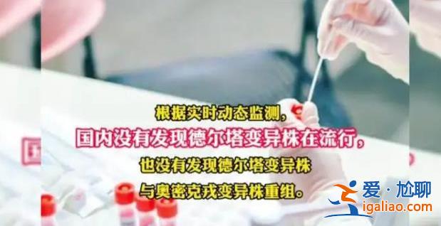 國內是否仍有德爾塔毒株流行？